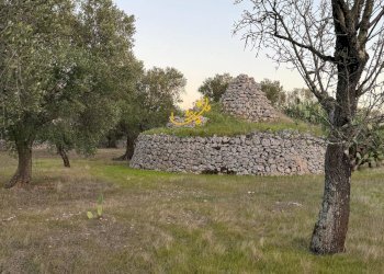 Foto 20 - Rustico Contrada Boccadoro, Ostuni - foto 20
