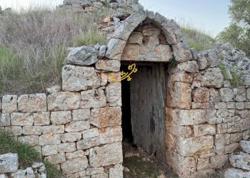 Foto 21 - Rustico Contrada Boccadoro, Ostuni - foto 21