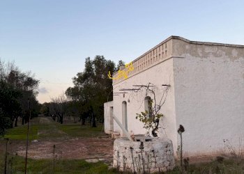 Foto 23 - Rustico Contrada Boccadoro, Ostuni - foto 23