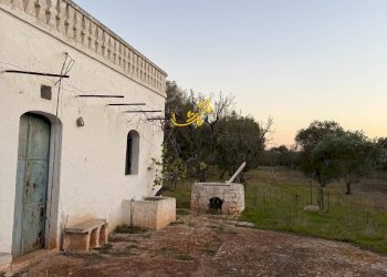 Foto 24 - Rustico Contrada Boccadoro, Ostuni - foto 24