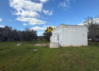 Foto 29 - Rustico Contrada Boccadoro, Ostuni - foto 29