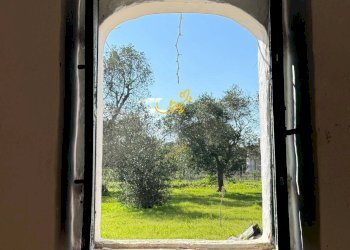 Foto 30 - Rustico Contrada Boccadoro, Ostuni - foto 30