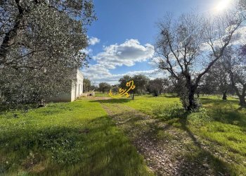 Foto 33 - Rustico Contrada Boccadoro, Ostuni - foto 33