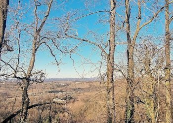 Terreno - Rustico via Vinchio, Cortiglione - foto 12