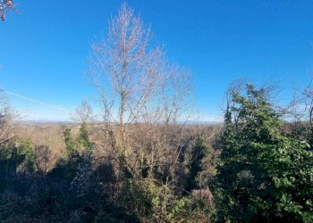 Vista - Rustic via Vinchio, Cortiglione - photo 22