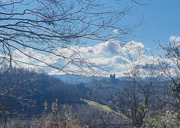 Vista - Rustic strada Sernella, 22, Nizza Monferrato - photo 2