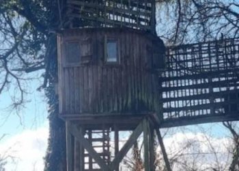 Rustic strada Sernella, 22, Nizza Monferrato - photo 16