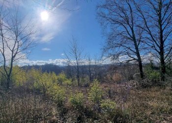 Terreno - Rustic strada Sernella, 22, Nizza Monferrato - photo 20