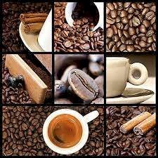 Altro - Cafeteria - Cold Bar Albissola Marina - photo 2