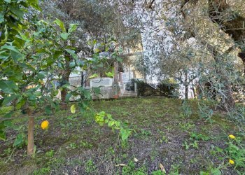 Giardino - Casa indipendente Minturno - foto 53