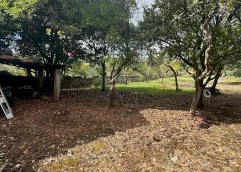 Giardino - Casa indipendente VIA DEL COLLE
 
33, Gaeta - foto 4