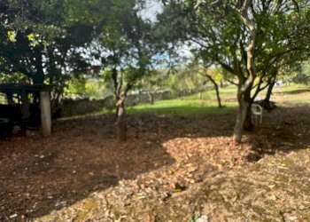 Giardino - Casa indipendente VIA DEL COLLE
 
33, Gaeta - foto 6