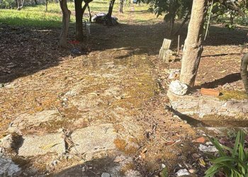 Giardino - Casa indipendente VIA DEL COLLE
 
33, Gaeta - foto 32