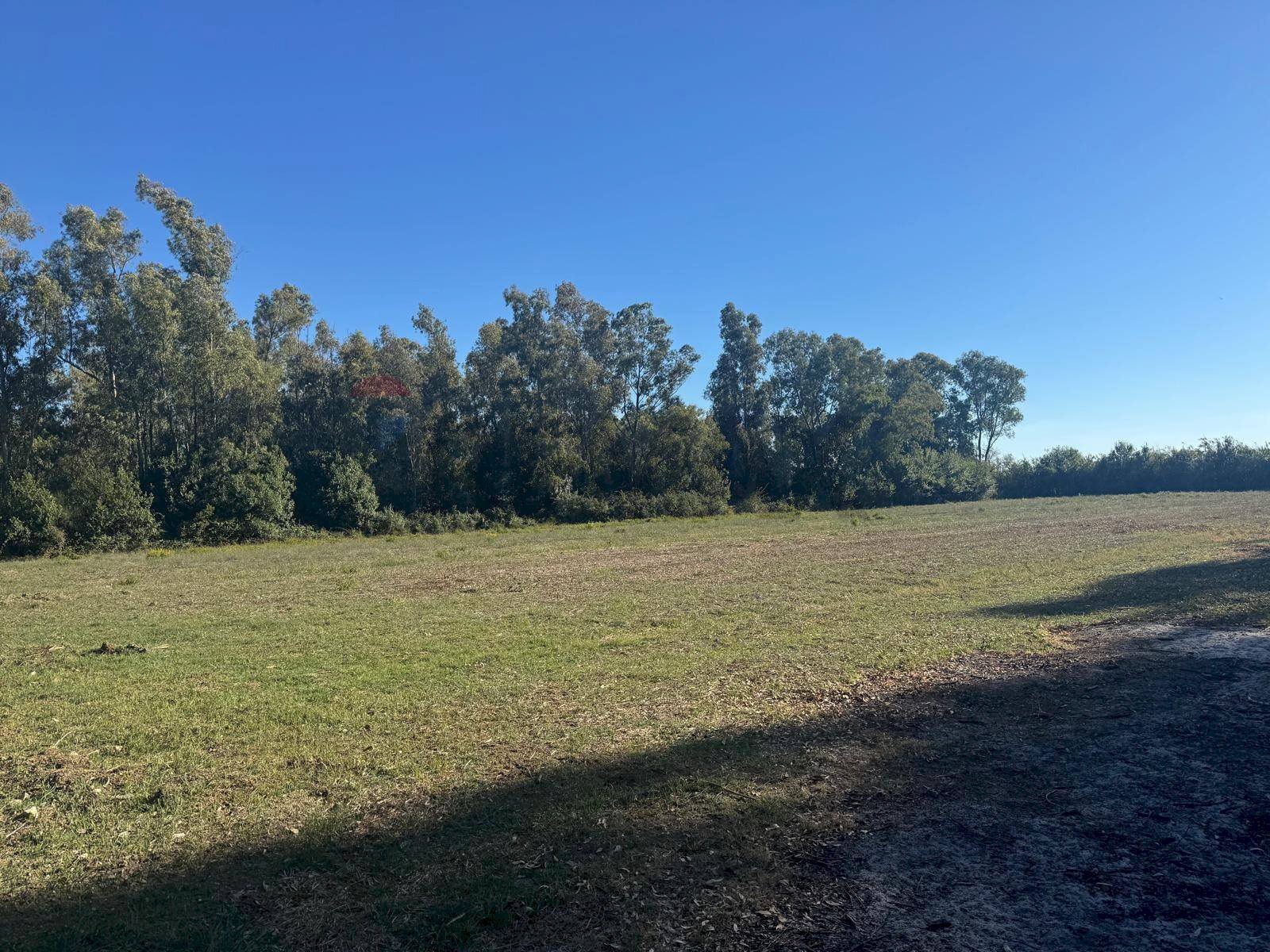 Giardino - Terreno agricolo contrada pantanella, Minturno - foto 1