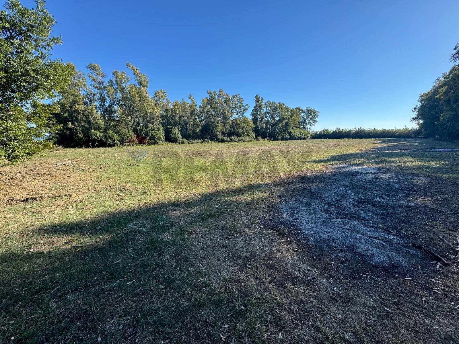 Giardino - Terreno agricolo contrada pantanella, Minturno - foto 2