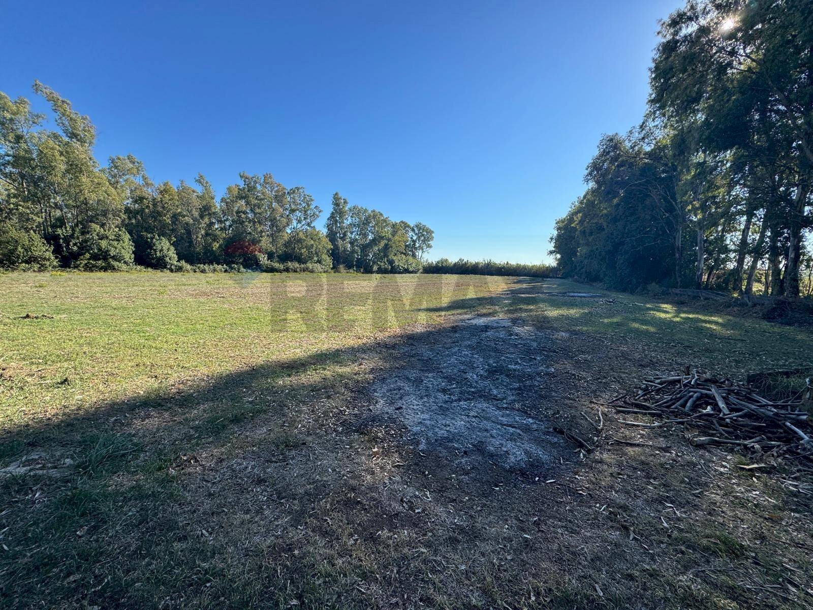 Giardino - Terreno agricolo contrada pantanella, Minturno - foto 3
