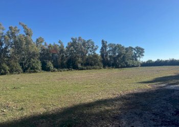 Giardino - Terreno agricolo contrada pantanella, Minturno - foto 1