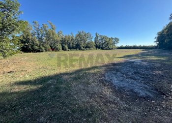 Giardino - Terreno agricolo contrada pantanella, Minturno - foto 2