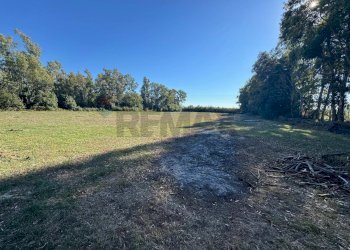 Giardino - Terreno agricolo contrada pantanella, Minturno - foto 3