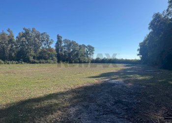 Giardino - Terreno agricolo contrada pantanella, Minturno - foto 6