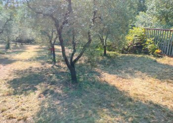 Giardino - Terreno agricolo Minturno - foto 3