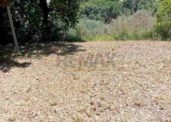 Giardino - Terreno agricolo Minturno - foto 5