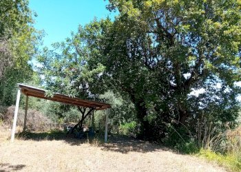 Giardino - Terreno agricolo Minturno - foto 7