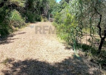 Giardino - Terreno agricolo Minturno - foto 12