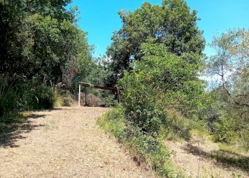 Giardino - Terreno agricolo Minturno - foto 14