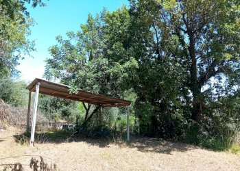 Giardino - Terreno agricolo Minturno - foto 17