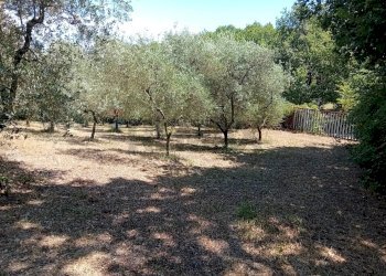 Giardino - Terreno agricolo Minturno - foto 20