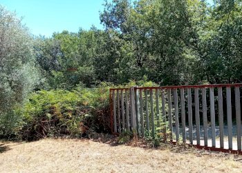 Giardino - Terreno agricolo Minturno - foto 21