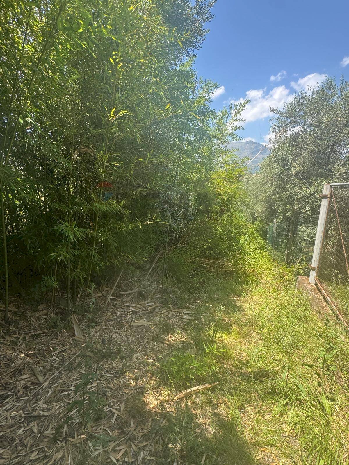 Giardino - Terreno agricolo loc casella, Minturno - foto 1