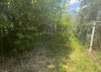 Giardino - Terreno agricolo loc casella, Minturno - foto 1