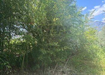 Non correlato - Terreno agricolo loc casella, Minturno - foto 2