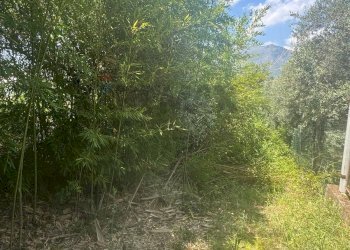 Giardino - Terreno agricolo loc casella, Minturno - foto 3