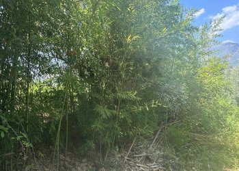 Giardino - Terreno agricolo loc casella, Minturno - foto 4