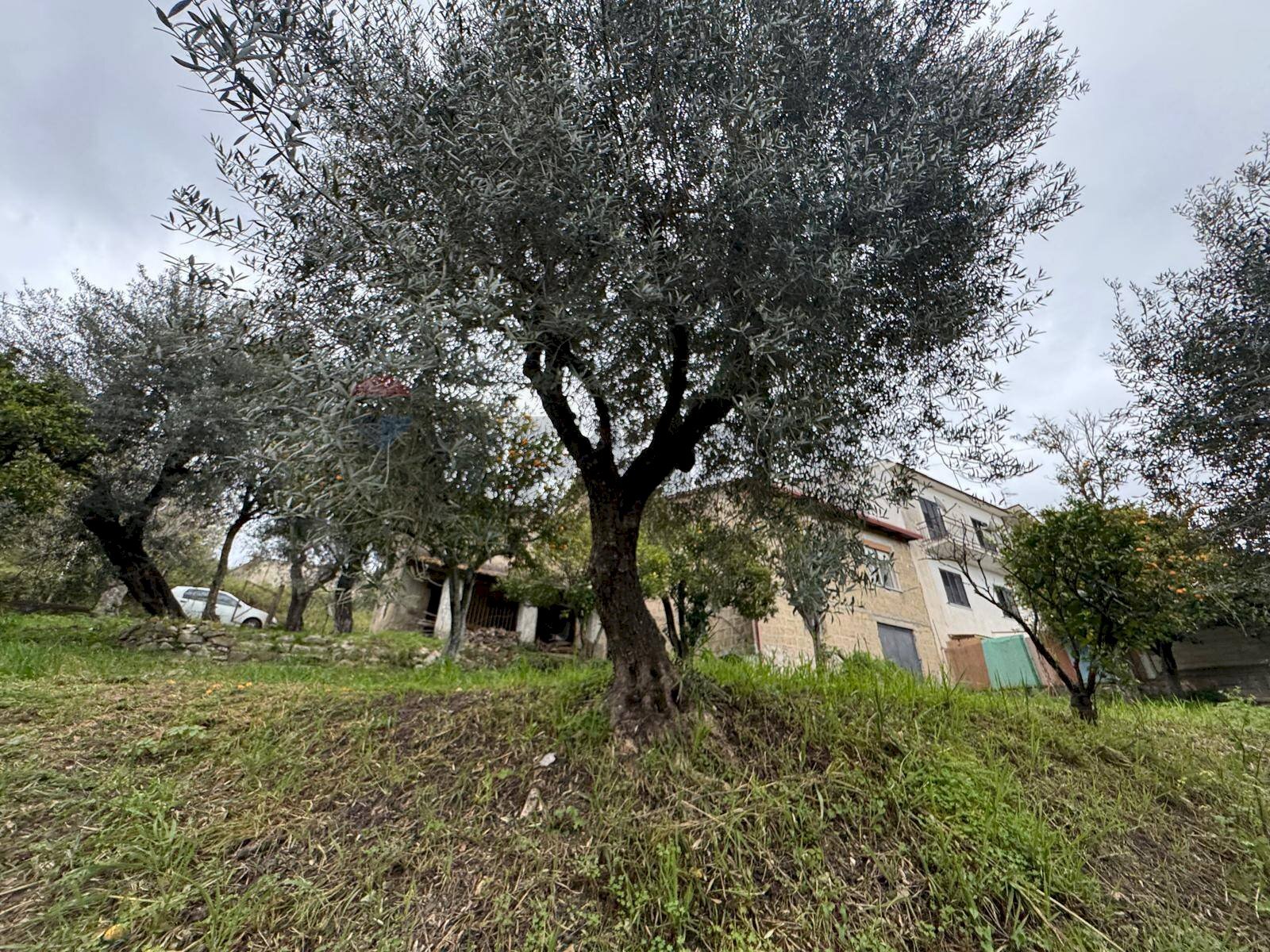 Giardino - Casa indipendente ARMANDO DIAZ
 
90, Minturno - foto 3