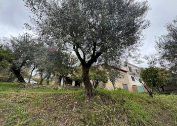 Giardino - Casa indipendente ARMANDO DIAZ
 
90, Minturno - foto 3