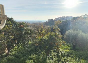 Non correlato - Casa indipendente ARMANDO DIAZ
 
90, Minturno - foto 12
