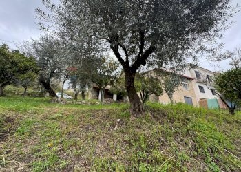 Giardino - Casa indipendente ARMANDO DIAZ
 
90, Minturno - foto 16