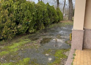 Giardino - Independent house via g.ricci, Cassino - photo 5