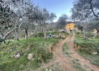 TERRENO - Casa indipendente MONTE PORTOFINO, Santa Margherita Ligure - foto 9