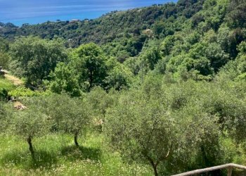 Casa indipendente MONTE PORTOFINO, Santa Margherita Ligure - foto 22