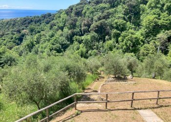 Casa indipendente MONTE PORTOFINO, Santa Margherita Ligure - foto 27
