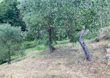 Casa indipendente MONTE PORTOFINO, Santa Margherita Ligure - foto 30