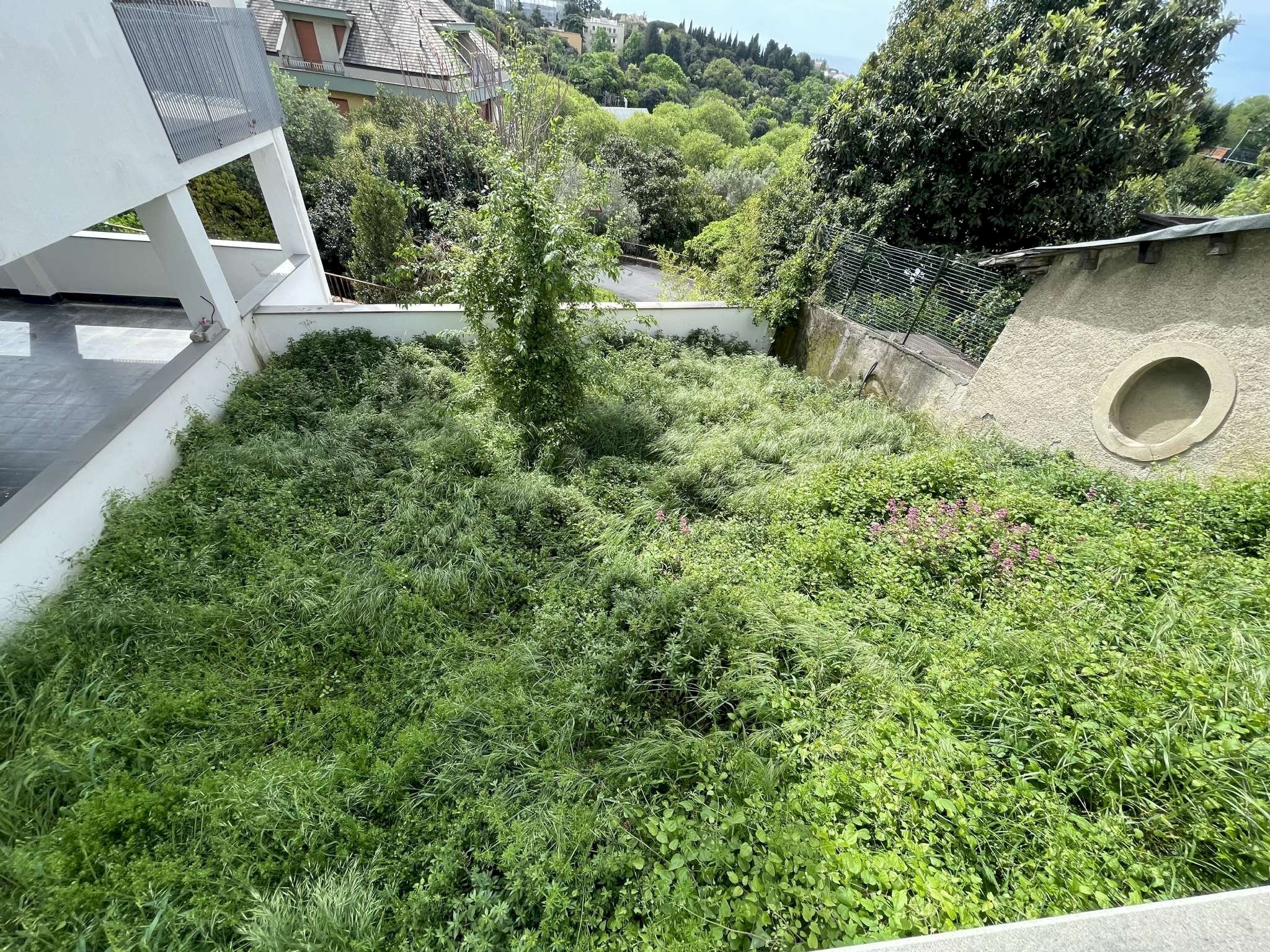 GIARDINO - Appartamento VIA PADRE SEMERIA, Genova (zona Albaro) - foto 3