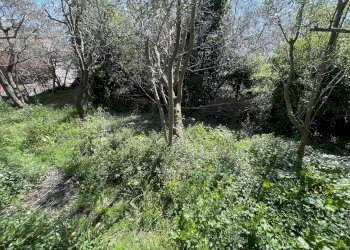 TERRENO - Casa indipendente VIA CANNETO APPARIZIONE, Genova (zona Apparizione) - foto 25