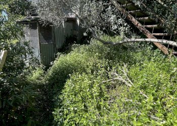 TERRENO - Casa indipendente VIA CANNETO APPARIZIONE, Genova (zona Apparizione) - foto 27