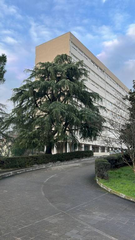 Zona - Quadrilocale via Pietro Pomponazzi, Bologna (zona Mazzini) - foto 2